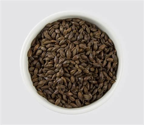 roasted malted barley - roasted barley substitute.